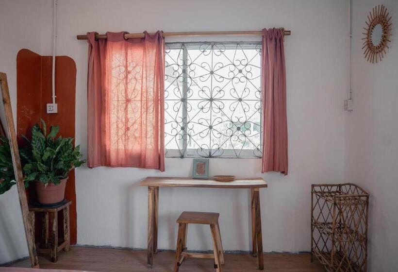 פנסיון Sacred Lotus   Vegan Café X Hostel