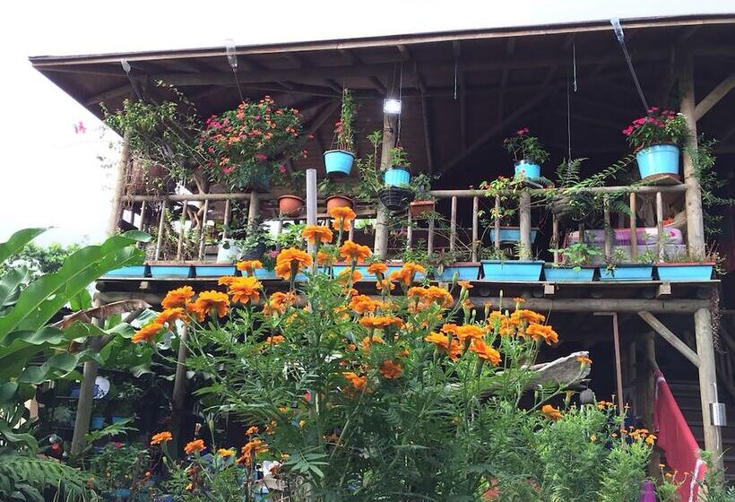 Wood House Hostel