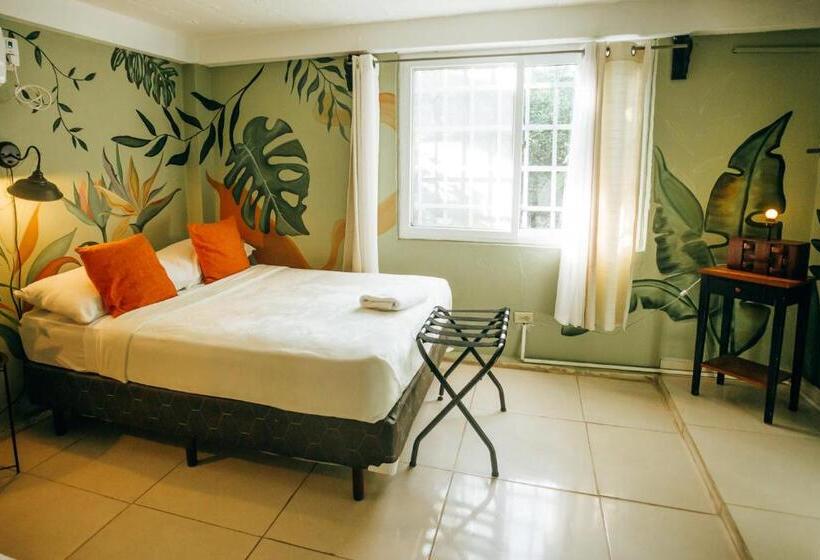 بنسيون Hostal & Café Travelers