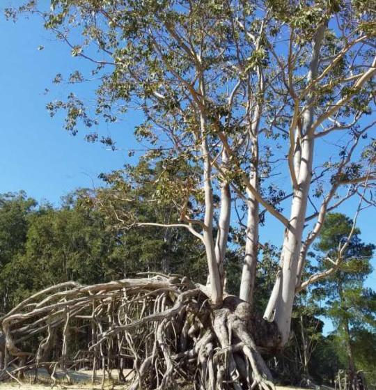 هتل Hostal Posada Del Hum