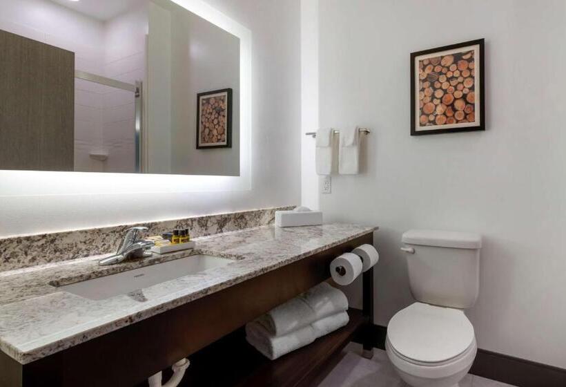 فندق Best Western Plus Isanti