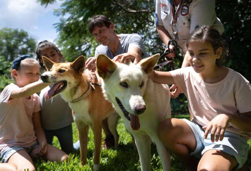 فندق Darwin Freespirit Resort