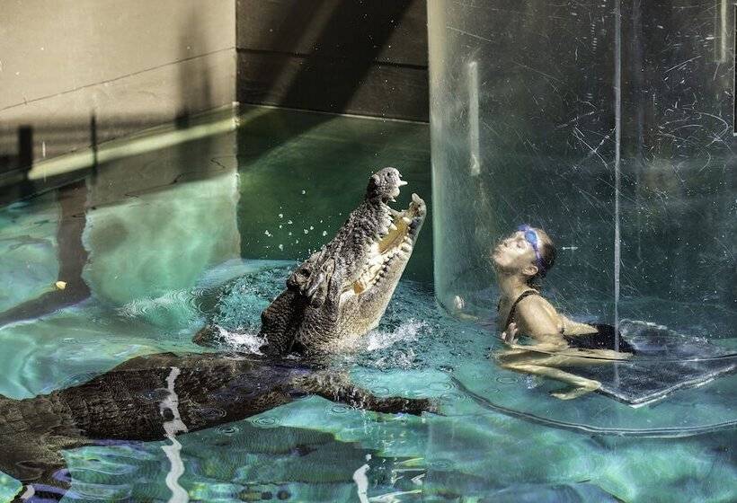 فندق Darwin Freespirit Resort