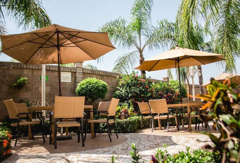 فندق Maioris Kumate Culiacán