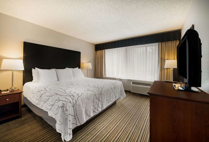 Отель Best Western Park Oasis Inn