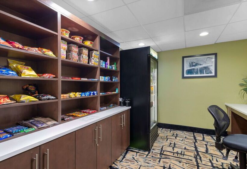 فندق Best Western Plus Mcdonough Inn & Suites