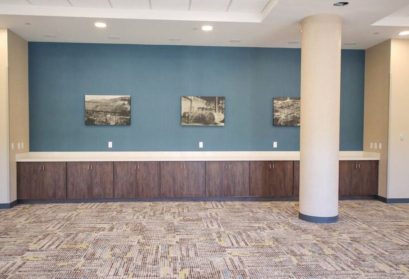 هتل Hampton Inn Lead