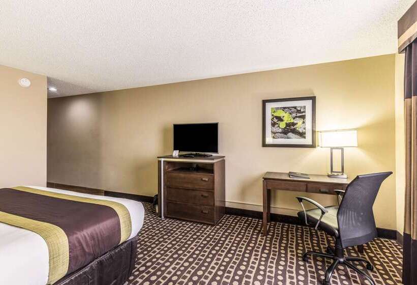 酒店 Quality Inn