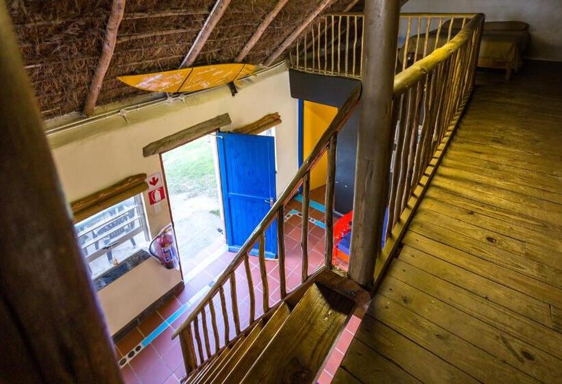 فندق صغير Coffee Shack Adventure Backpackers & Self Catering