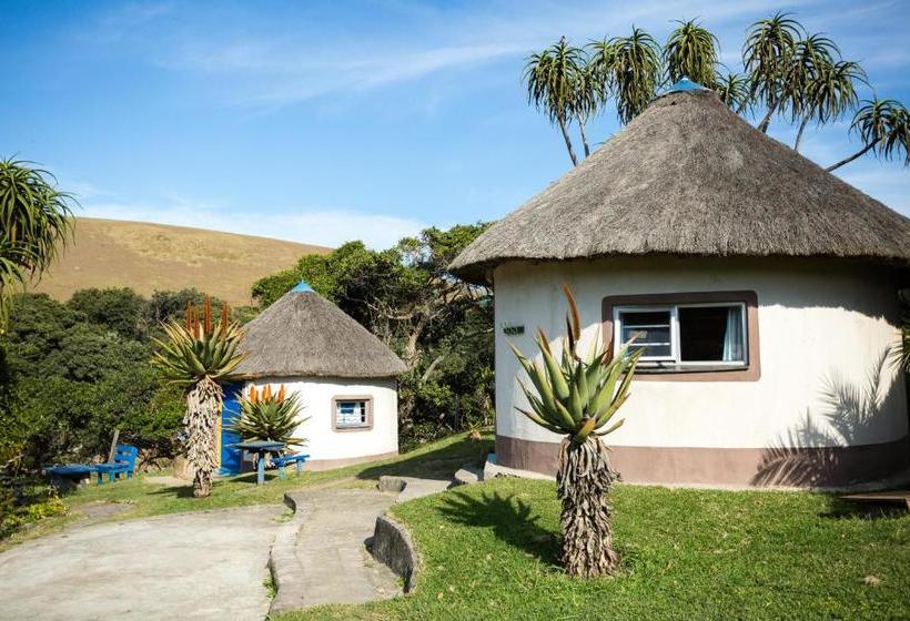 فندق صغير Coffee Shack Adventure Backpackers & Self Catering