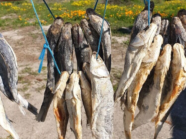 مبيت وإفطار You Have Arrived Guesthouse