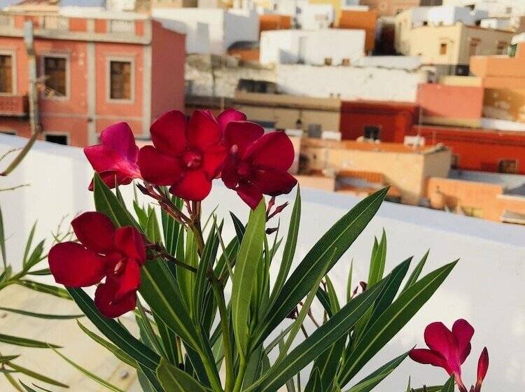 تختخواب و صبحانه Villa Nestor
