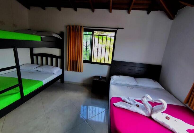 هتل Mi Techito Curiteño