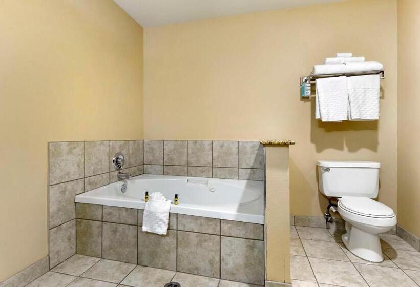 فندق Best Western Plus The Inn At Horse Heaven