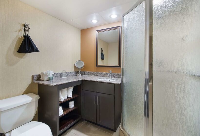 酒店 Best Western Suites Near Opryland