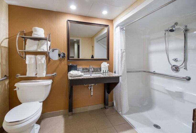 酒店 Best Western Suites Near Opryland