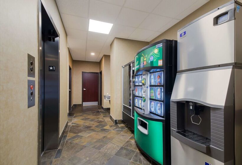 فندق Best Western University Inn And Suites