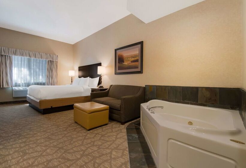 فندق Best Western University Inn And Suites