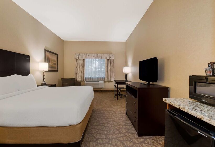 فندق Best Western University Inn And Suites