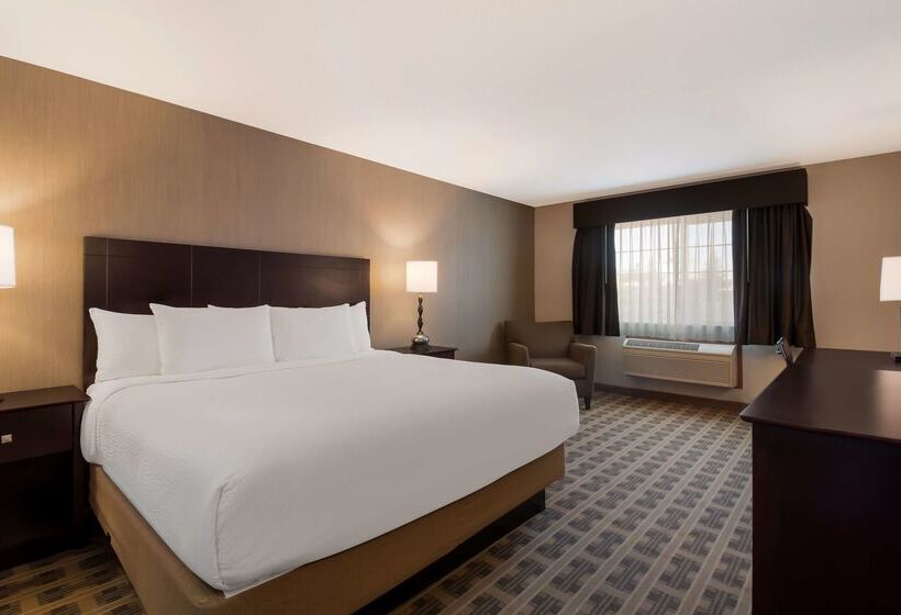 فندق Best Western University Inn And Suites