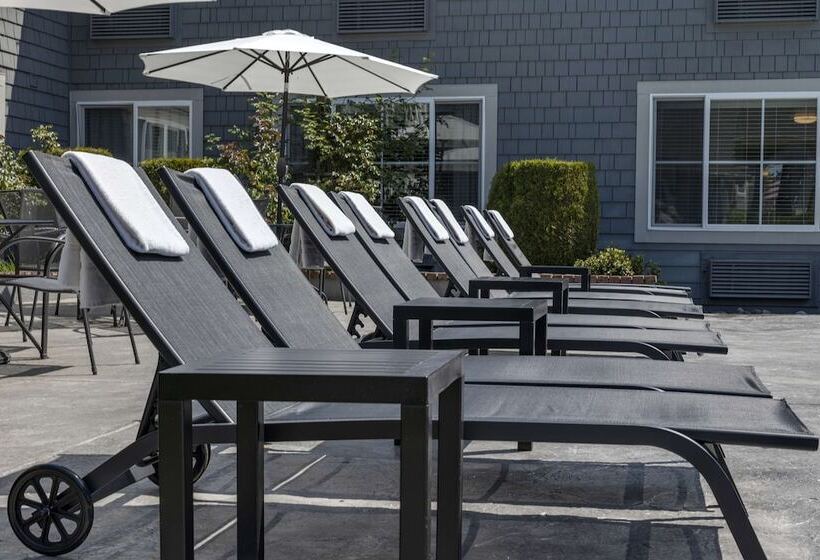 فندق Best Western Wesley Inn & Suites