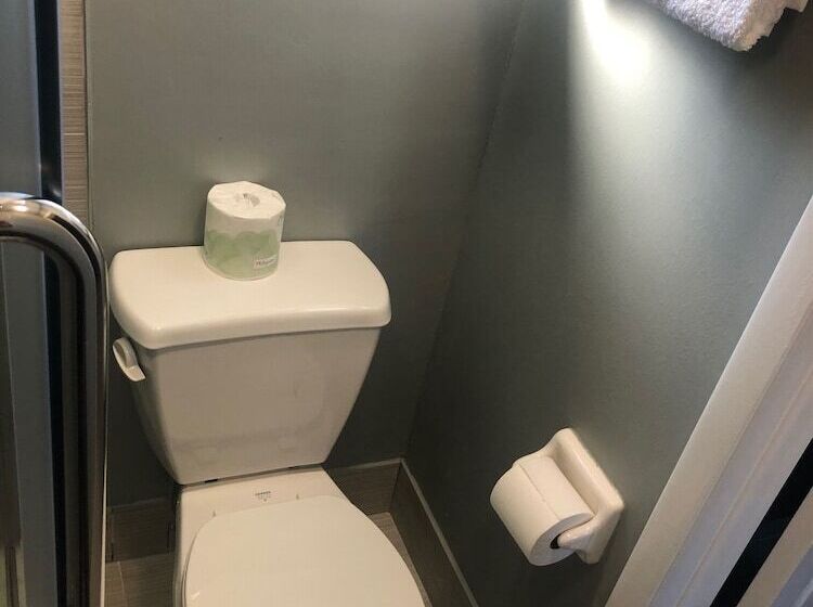 فندق Brandon Motor Lodge