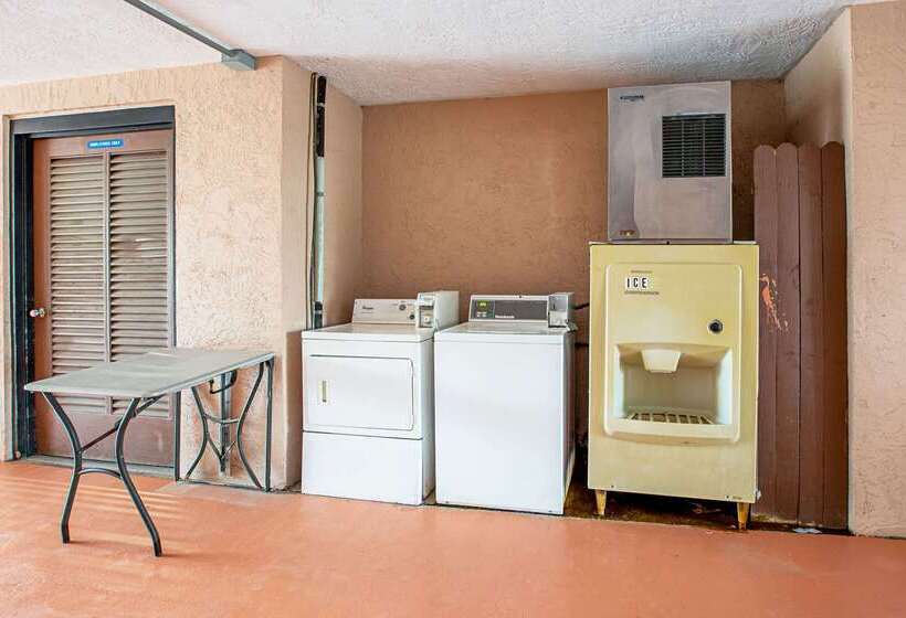 فندق Quality Inn & Suites Live Oak I10 Exit 283