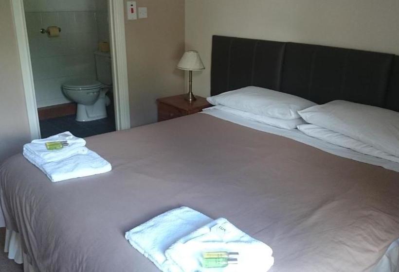 Hotel The New Swan
