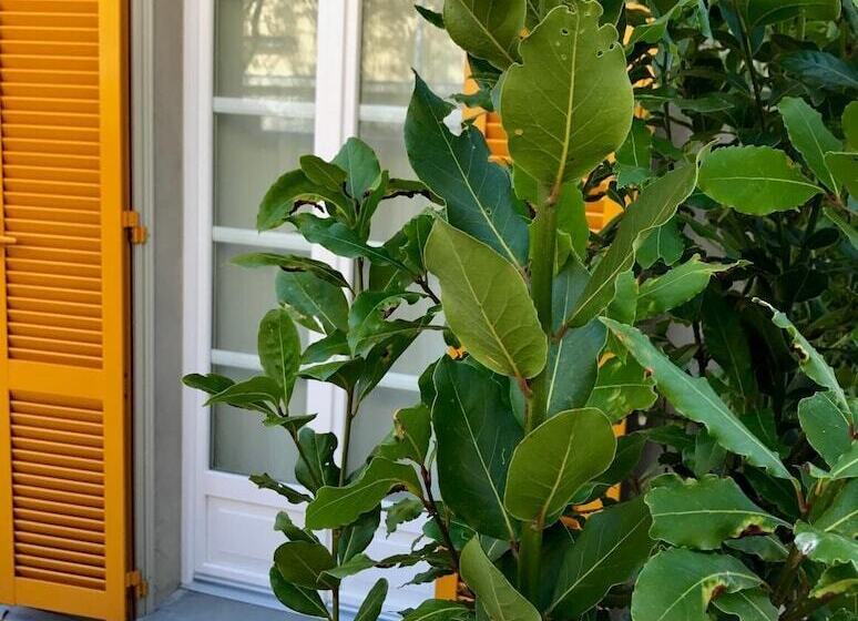 بنسيون Liberty Room And Breakfast