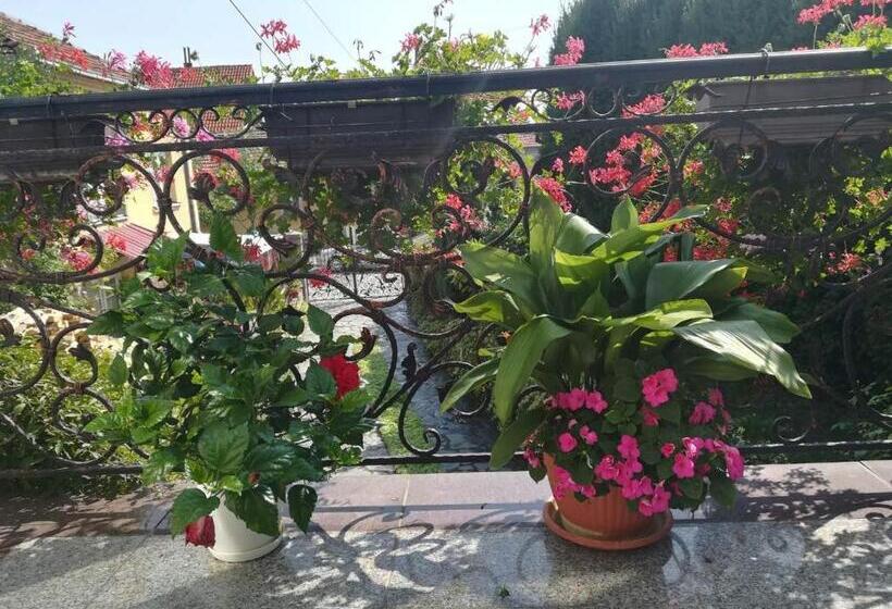 پانسیون Vila Sentić