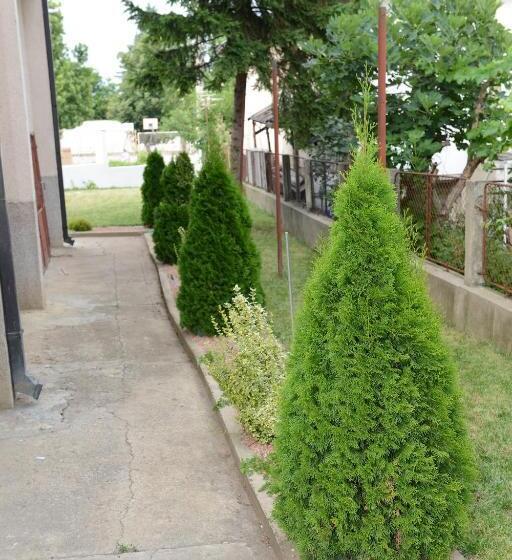 Prenoćište Vila Tasić