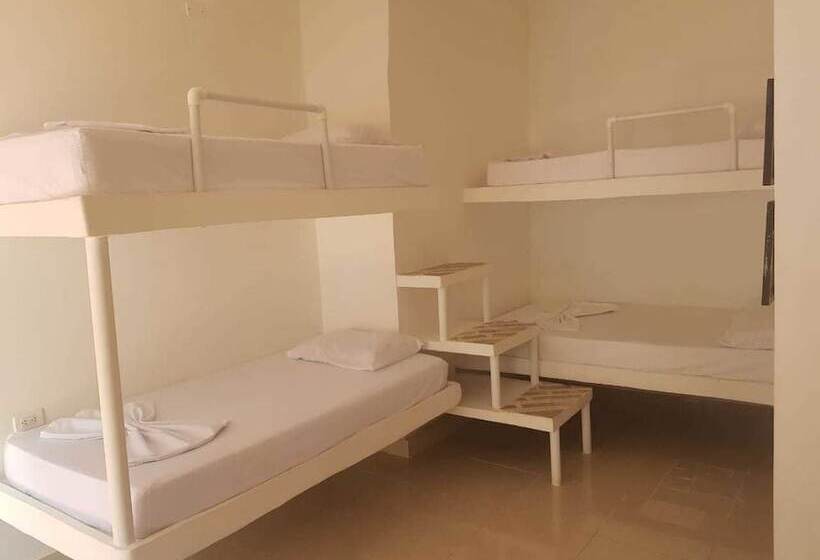 هتل Playa Tiburon