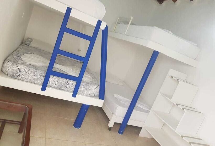 هتل Playa Tiburon