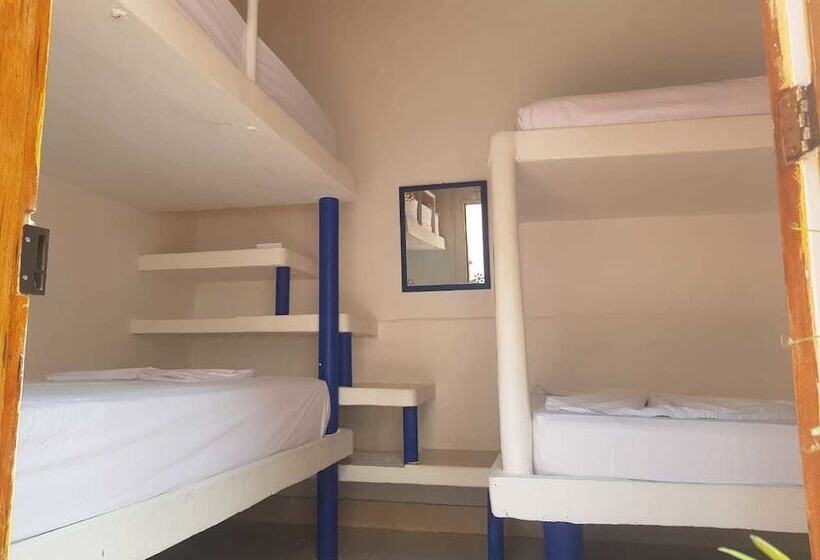 هتل Playa Tiburon