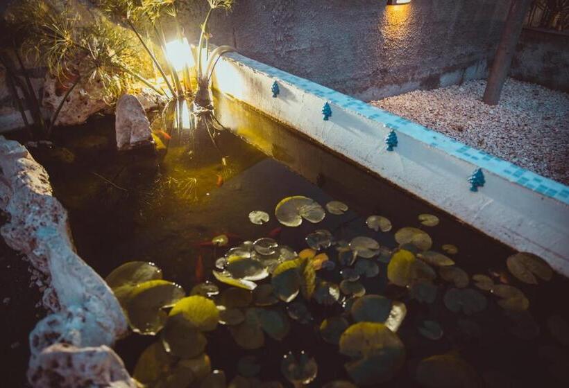 צימר Cosi Priziusi