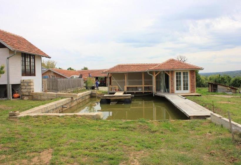 تختخواب و صبحانه Apartmani Bojeresku Negotin