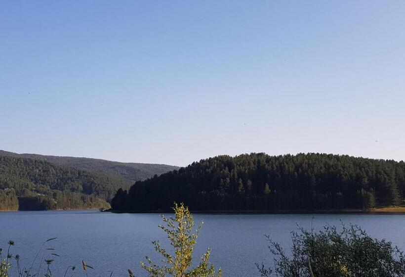 Lorica Suite Lago