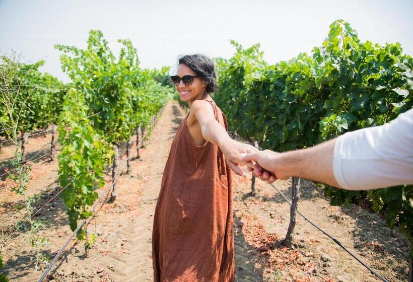 호텔 Calistoga Motor Lodge And Spa, A Jdv By Hyatt