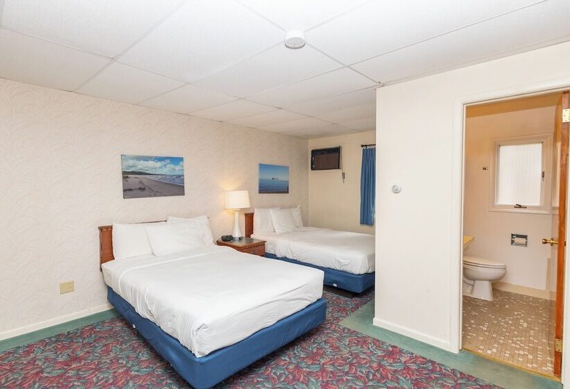 فندق Cedar Motor Inn