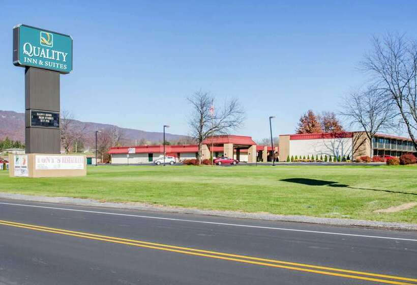 ホテル Quality Inn & Suites