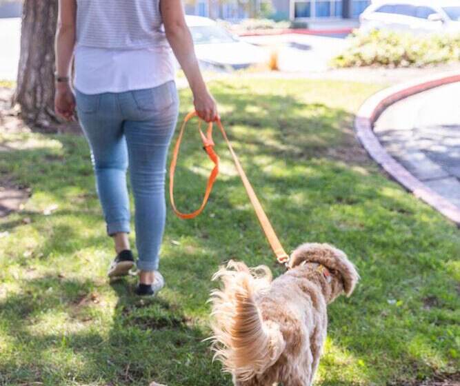 فندق Sonesta Simply Suites Irvine East Foothill