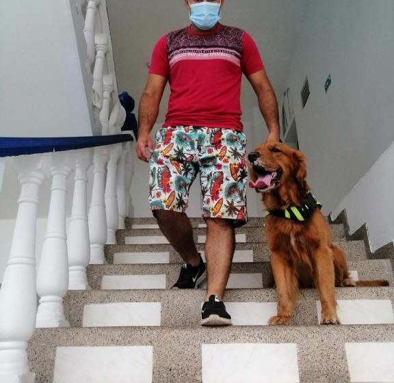 هتل Es Lancers, Melgar