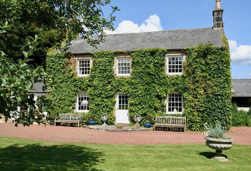 مبيت وإفطار Thistleyhaugh Farmhouse