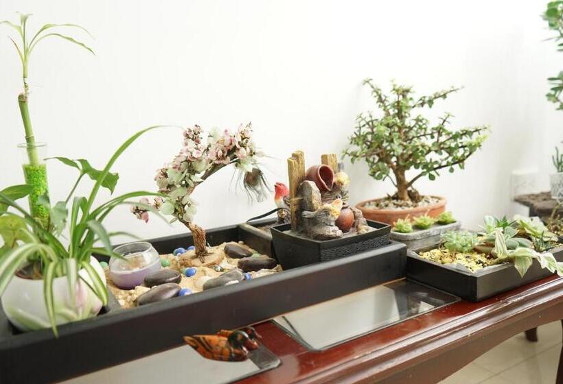 پانسیون Posada Ventura