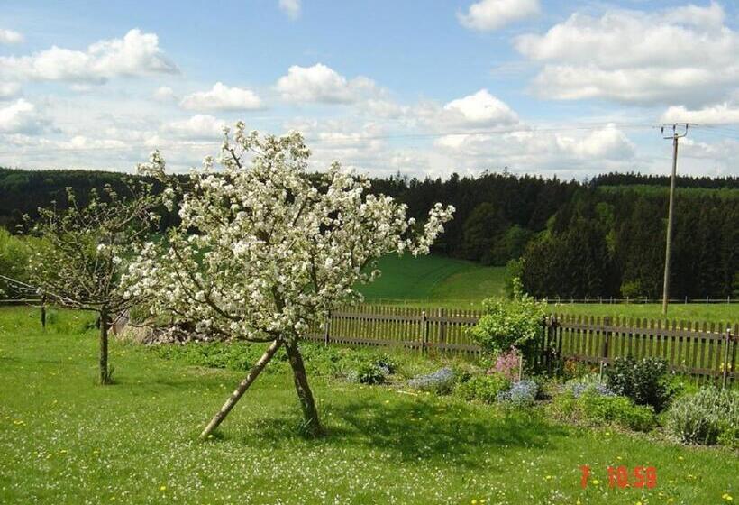 Pension Steiger
