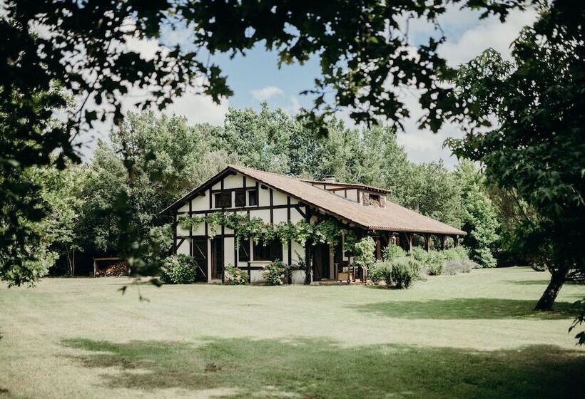 민박 Le Domaine De Petiosse