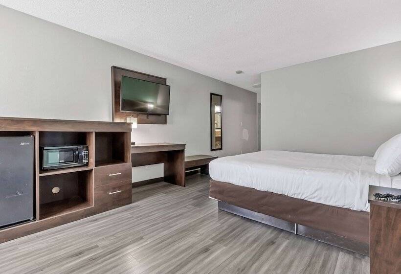 فندق Baymont By Wyndham North Myrtle Beach