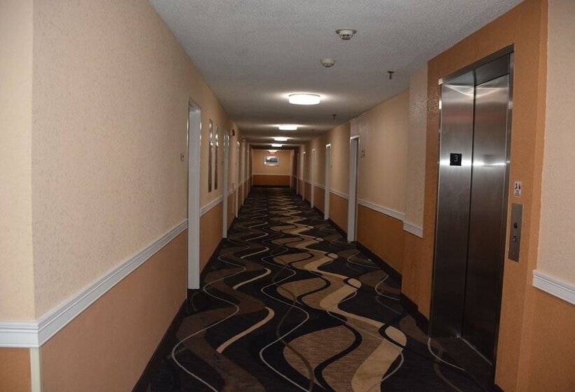 هتل Best Western Cape Cod