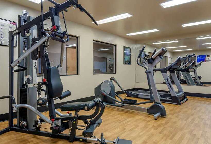 فندق Comfort Inn Bozeman Near University