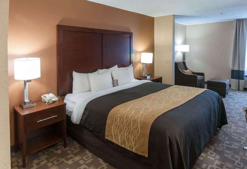 فندق Comfort Inn North Conroe